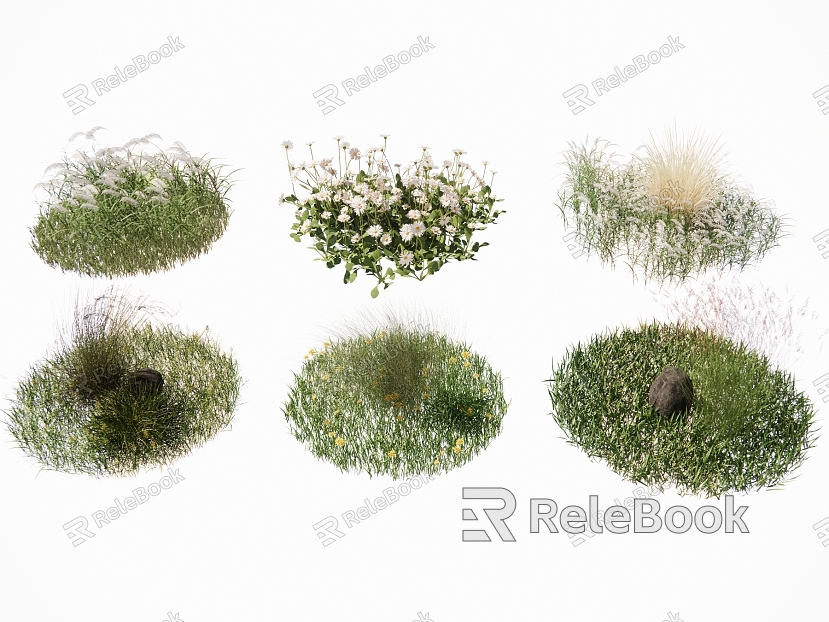 Lawn Turf Flower Grass Flower Landscape Plant Landscape Grass Ornamental Grass Wild Flower Weed model