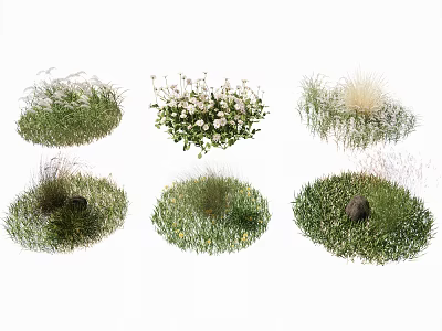 Various Ground Cover Plants For Garden Landscaping Including Grasses And Small White Flowers 3d model