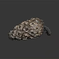 Natural Plant With Rough Brown Black Texture And Irregular Organic Unique Shape 3d model