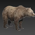 Realistic Brown Bear 3D Model With Detailed Fur Texture In Standing Pose On Gray Background