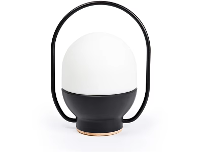 Modern Table Lamp With White Spherical Lampshade Black Base And Circular Handle 3d model