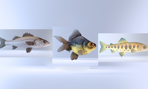 Modern Fish 3d model