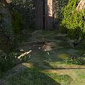 Sunlit Garden Landscape With Stone Path Wooden Gate Lush Greenery Purple Flowers And Mossy Ground