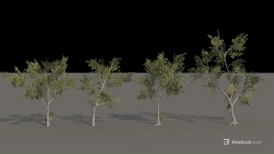 Different Arbor Trees with Green Foliage and Various Trunk Shapes in Display Arrangement 3d model 