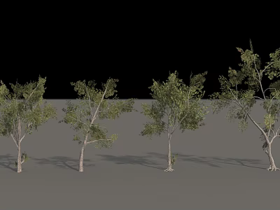 Different Arbor Trees with Green Foliage and Various Trunk Shapes in Display Arrangement 3d model