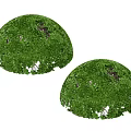 Two Round Dome Shaped Lush Green Bushes With Dense Foliage 3d model