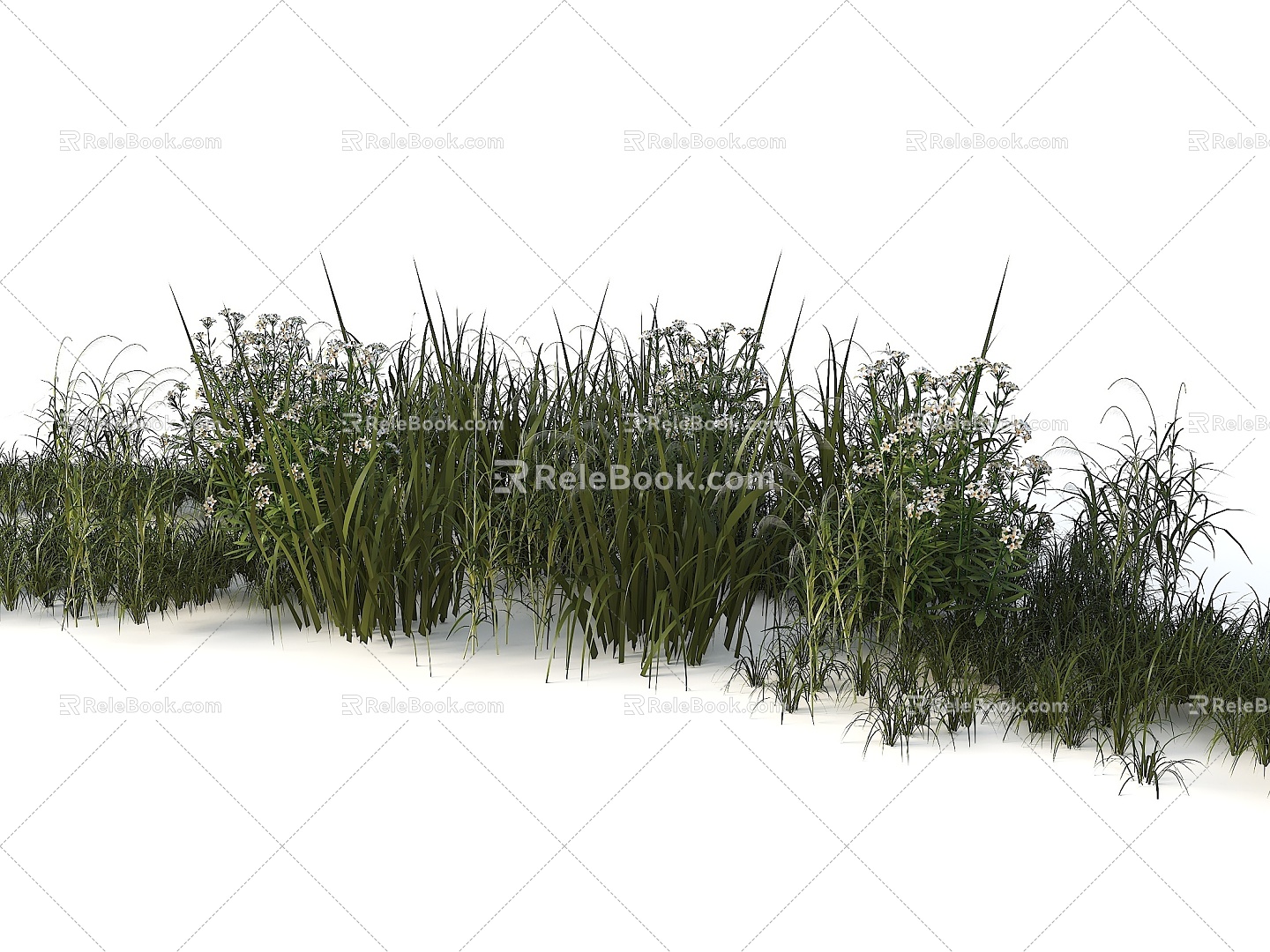 Aquatic Plant Combination Grass Wild Grass Aloe Wild Flower Miscanthus Natural Plant 3d model