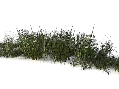 Natural Plant Combination With Grasses And Flowers 3d model