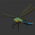 Colorful Dragonfly With Green Blue Body And Transparent Wings On Dark Background With Reflection