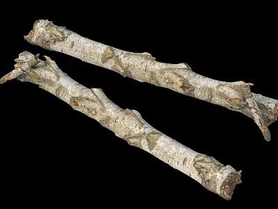 modern tree stump root 3d model