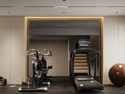 Home Gym Fitness Space With Treadmill Exercise Bike And Fitness Ball Equipment 3d model