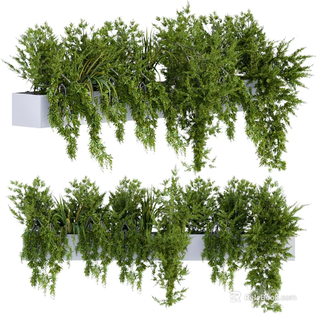 Indoor Hanging Potted Plants with Lush Green Cascading Foliage in White Planters 3d model 