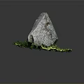 Large Natural Rock Surrounded by Lush Green Moss on Dark Background