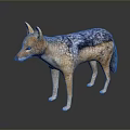 Realistic 3D Wild Jackal Figure with Gray Blue Brown Fur Standing on Dark Surface