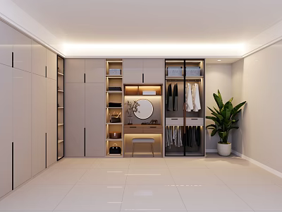 Sleek Modern Wardrobe Interior With Hanging Rods Drawers Mirror And Open Shelves 3d model