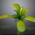 Vibrant Variegated Plant with Green and Yellow Broad Leaves in