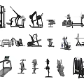 Comprehensive Collection of Fitness Equipment Featuring Treadmills Dumbbells Weight Machines and Exercise Benches