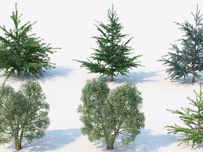 Different Types Of Arbor Trees With Various Shapes And Green Blue Foliage 3d model