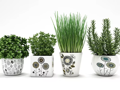Bonsai Potted Plants with Floral and Geometric Pattern Pots and Various Green Foliage 3d model