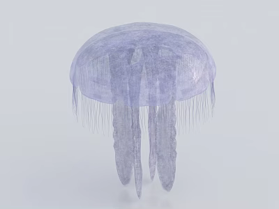 Transparent Jellyfish Marine Creature With Graceful Flowing Tentacles In Underwater Habitat 3d model