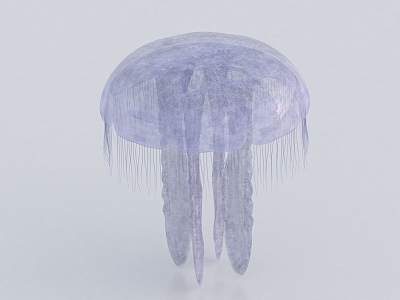 Jellyfish Luminous Jellyfish Marine Life Underwater World model