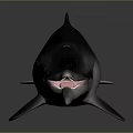 Spotting Dolphin Cartoon Dolphin Animation Dolphin Animation Dolphin Animation Character Game Character 3d model