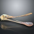 Animal Skeleton Exhibit Featuring Bird Skull With Long Beak And Anatomical Details