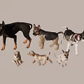 Various Reptile Models in Different Sizes and Postures Against Textured Wall and Wooden Floor