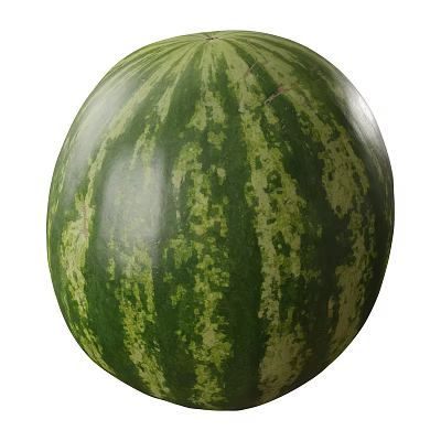 Organic Fresh Ripe Green Striped Round Watermelon Vegetable For Healthy Diet 3d model