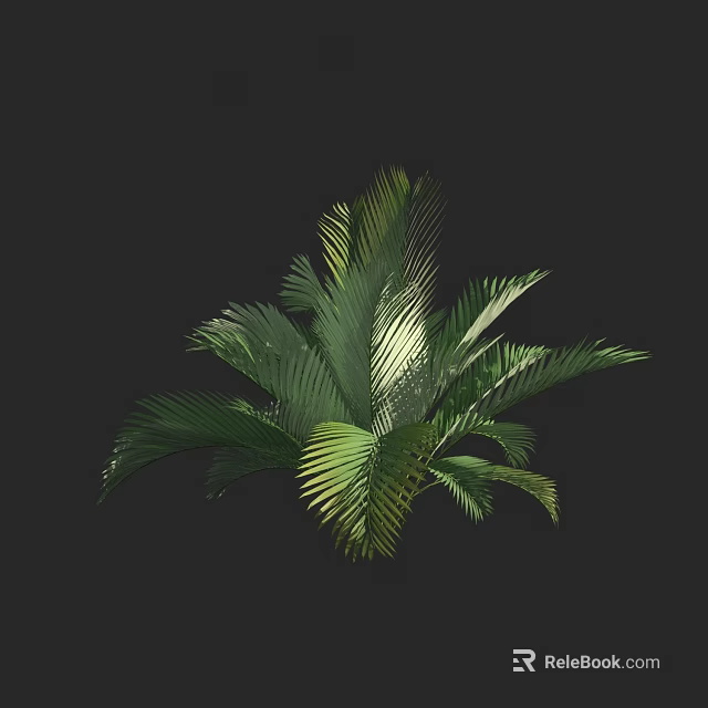 Vibrant Tropical Arbor Featuring Lush Green Fronds And Dense Foliage 3d model 