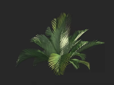 Vibrant Tropical Arbor Featuring Lush Green Fronds And Dense Foliage 3d model