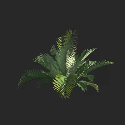 Vibrant Tropical Arbor Featuring Lush Green Fronds And Dense Foliage 3d model