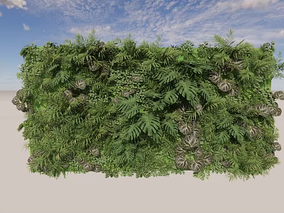 Living Green Wall With Lush Ferns And Plants Against Blue Sky White Clouds 3d model
