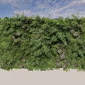 Living Green Wall With Lush Ferns And Plants Against Blue Sky White Clouds