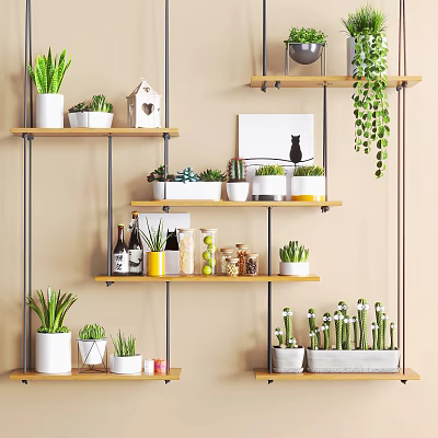 Modern Home Storage Shelf With Green Plants Decorative Items And Storage Jars 3d model