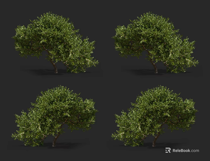 Lush Green Shrubs With Dense Foliage And Natural Growth Structure 3d model