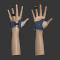 Human Hand Models with Wrist Support Devices and Metal Braces on Index Finger and Thumb