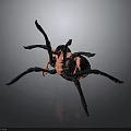 3D Rendered Spider Model With Detailed Black Legs And Red Segmented Body On Gray Background