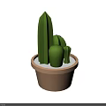Green Cactus Like Potted Bonsai Plant With Brown Pot And White Substrate