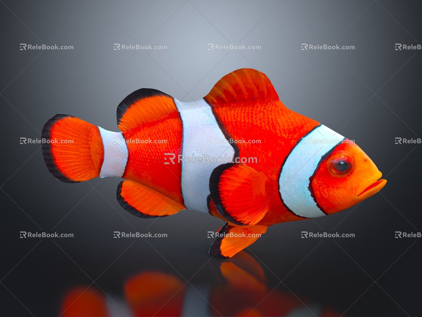 Modern Fish Clown Fish Tropical Fish Ornamental Fish 3d model