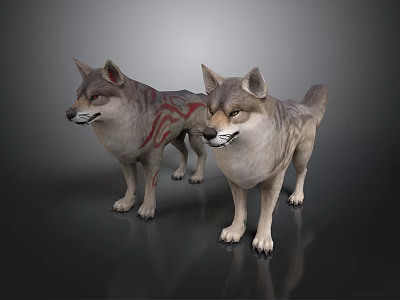Two Gray Wolves With Red Markings Standing On Reflective Gray Surface 3d model