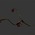 Dry Plant Branch With Thin Twigs And Small Red Fruits On Gray Background