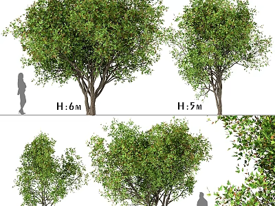 Ornament Decoration Set With Various Height Decorative Tree Figurines For Home Garden Decor 3d model