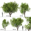 Ornament Decoration Set With Various Height Decorative Tree Figurines For Home Garden Decor