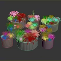 Variety of Potted Plants with Colorful Leaves in Gray Pots