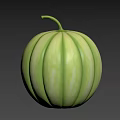 Fresh Green Round Melon With Striped Surface And Curved Stem On Top 3d model