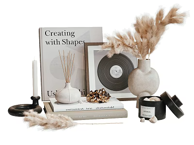 Decorative Ornament Set With Books Vase Pampas Grass Reed Diffuser Vinyl Record And Pine Cones 3d model