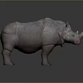 Realistic Rhinoceros 3D Model Standing With Detailed Skin Texture And Gray Background
