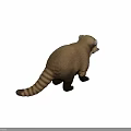 Realistic Raccoon Figure With Brown Black Fur And Ringed Tail Standing On Dark Background