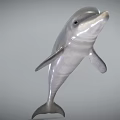 Detailed Realistic 3D Dolphin Model With Silver Gray Body Leaping Pose 3d model